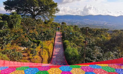 Ruta de las Flores
