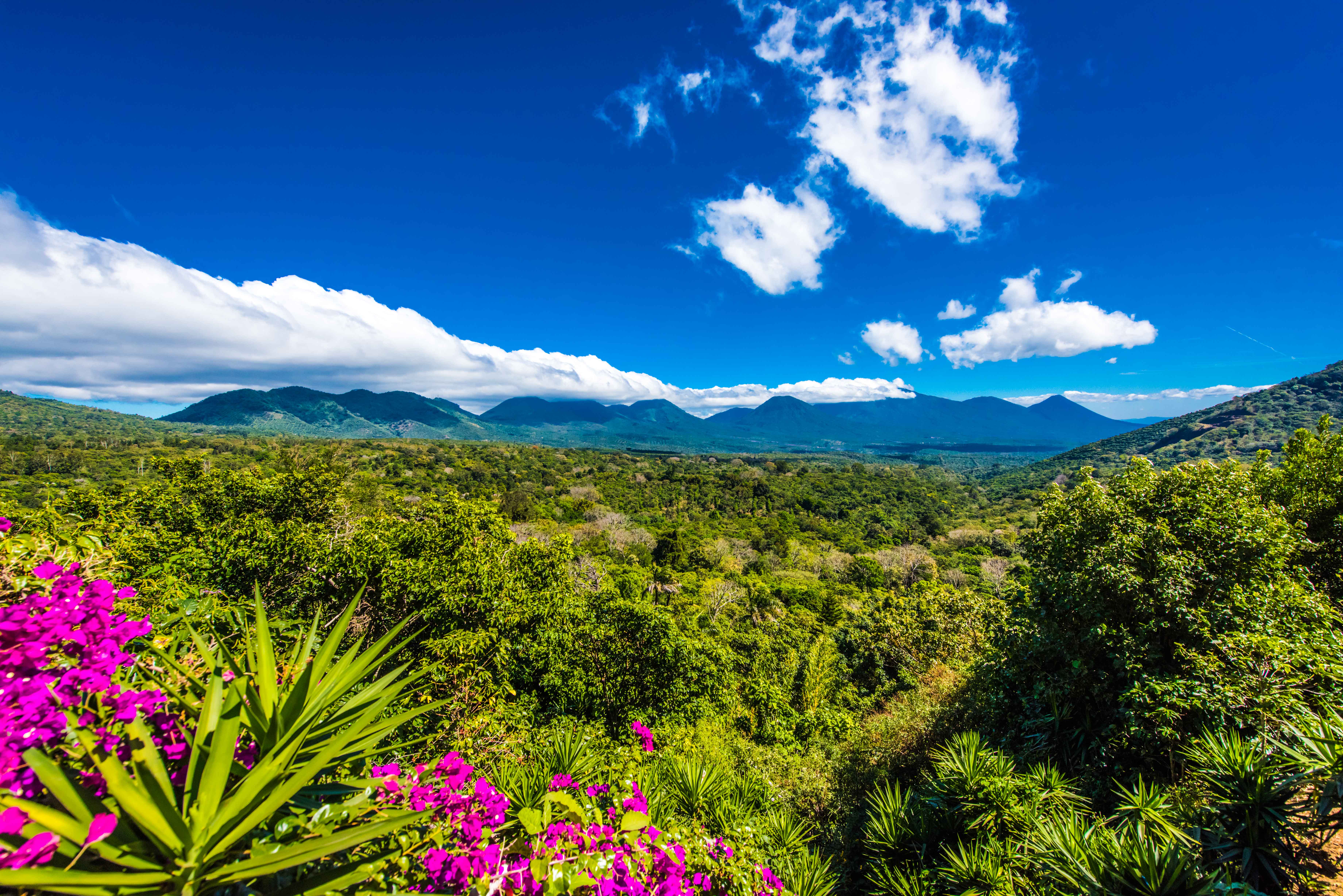 Ruta de las flores